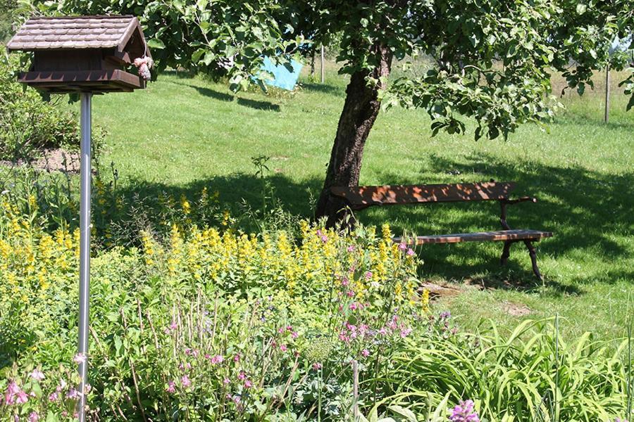 Apartment Baden Baden Haus Am Ibachweg Екстериор снимка