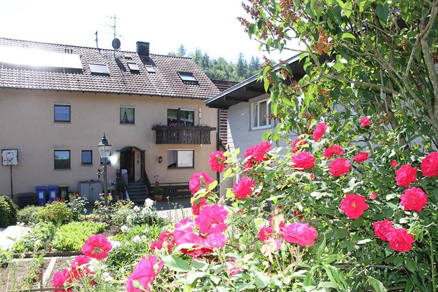 Apartment Baden Baden Haus Am Ibachweg Екстериор снимка